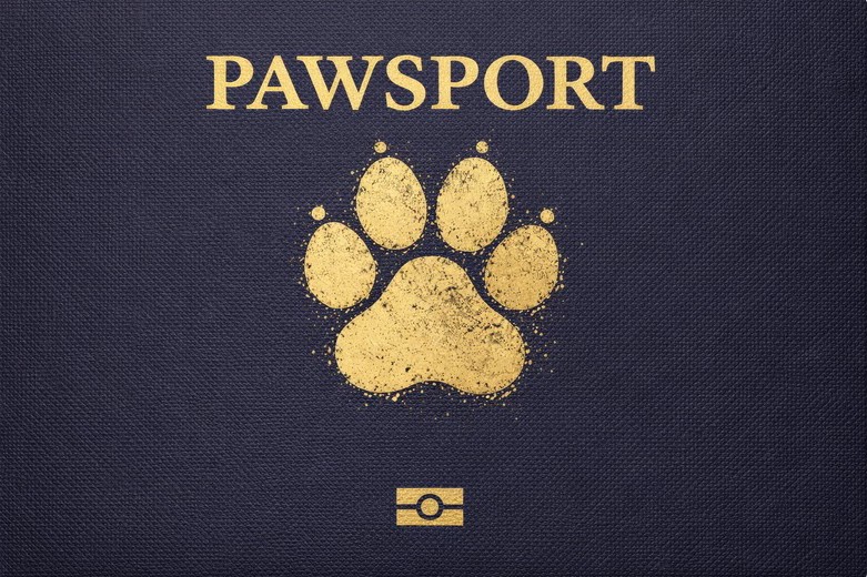 The Pawsport: a navy passport-style booklet with a gold paw print on the cover